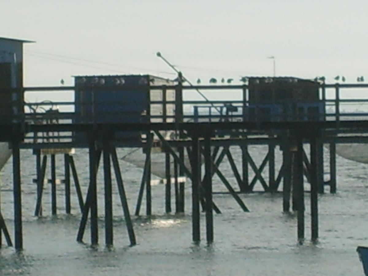 Le Phare *